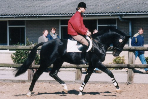 Afbeelding